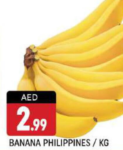  Banana  in شكلان ماركت in الإمارات العربية المتحدة , الامارات - دبي