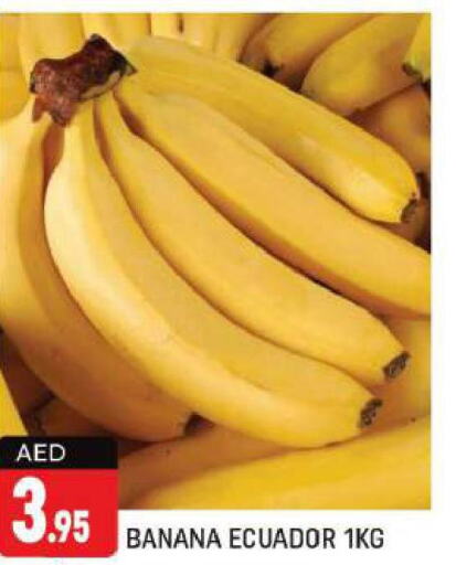  Banana  in شكلان ماركت in الإمارات العربية المتحدة , الامارات - دبي