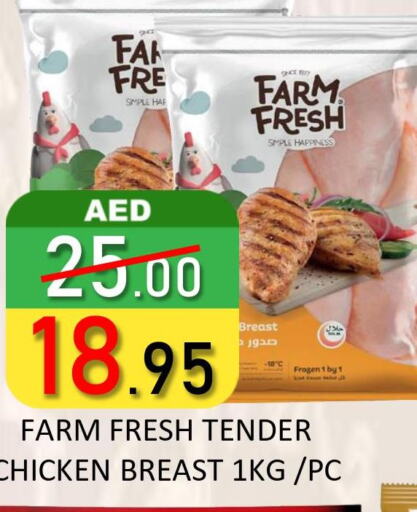FARM FRESH Chicken Breast  in رويال جلف هايبرماركت in الإمارات العربية المتحدة , الامارات - أبو ظبي