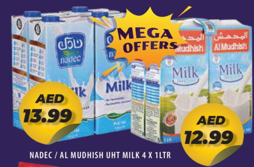 NADEC Long Life / UHT Milk  in Baniyas Spike  in UAE - Ras al Khaimah