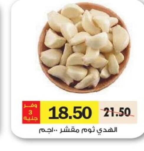  Garlic  in رويال هاوس in Egypt - القاهرة
