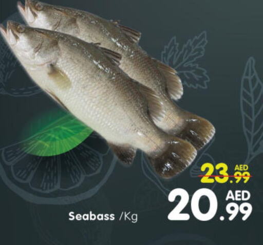  King Fish  in Al Madina Hypermarket in UAE - Abu Dhabi