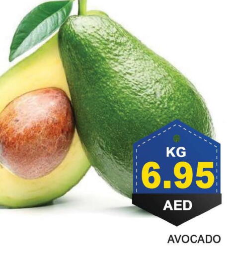  Avacado  in Bismi Wholesale in UAE - Dubai