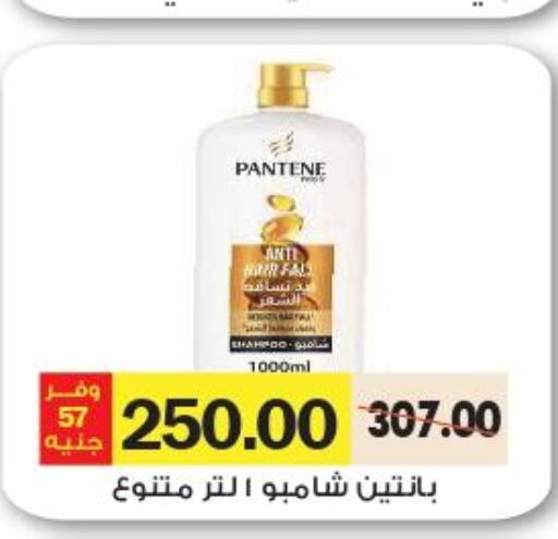 PANTENE Shampoo / Conditioner  in Royal House in Egypt - Cairo