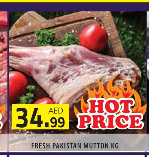  Mutton / Lamb  in سنابل بني ياس in الإمارات العربية المتحدة , الامارات - أبو ظبي