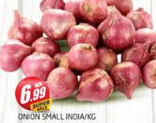  Onion  in PASONS GROUP in UAE - Dubai