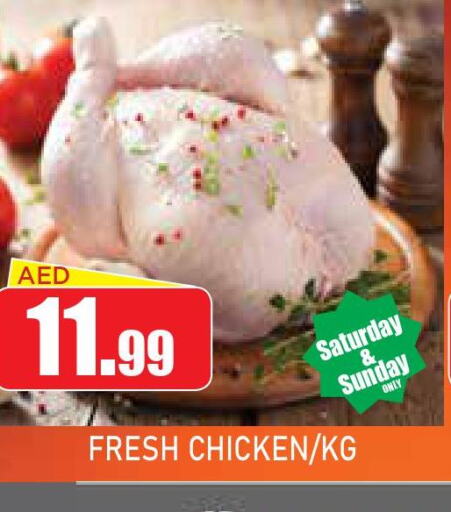  Fresh Chicken  in عين المدينة هايبرماركت in الإمارات العربية المتحدة , الامارات - الشارقة / عجمان