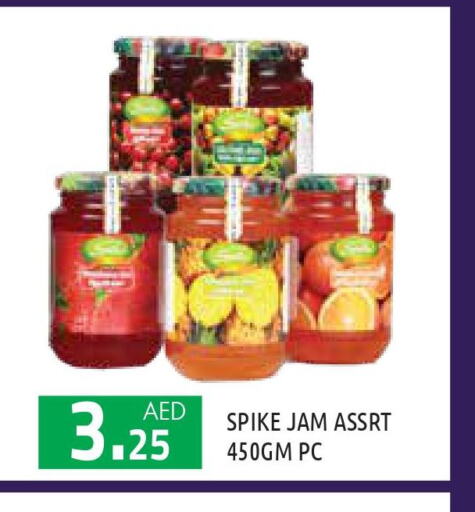  Jam  in سنابل بني ياس in الإمارات العربية المتحدة , الامارات - أبو ظبي