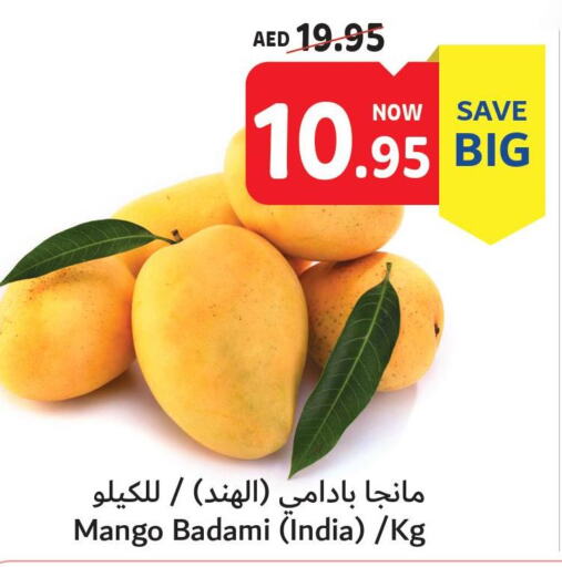 Mango   in تعاونية أم القيوين in الإمارات العربية المتحدة , الامارات - أم القيوين‎