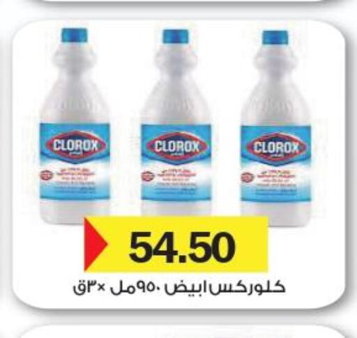 CLOROX General Cleaner  in Royal House in Egypt - Cairo
