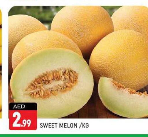  Sweet melon  in شكلان ماركت in الإمارات العربية المتحدة , الامارات - دبي