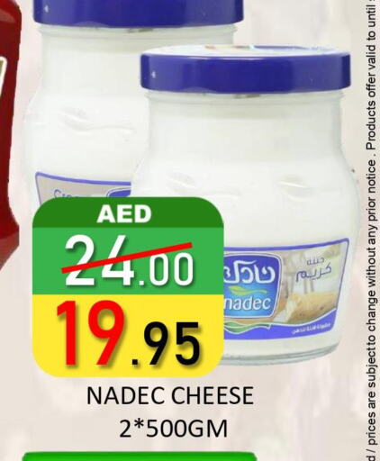 NADEC Cream Cheese  in رويال جلف هايبرماركت in الإمارات العربية المتحدة , الامارات - أبو ظبي