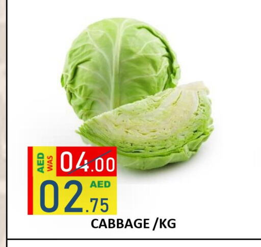  Cabbage  in ROYAL GULF HYPERMARKET LLC in UAE - Abu Dhabi