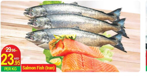  Tuna  in Rich Supermarket in UAE - Dubai
