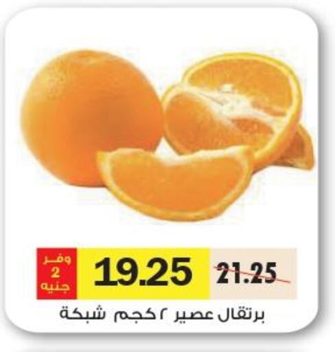  Orange  in Royal House in Egypt - Cairo