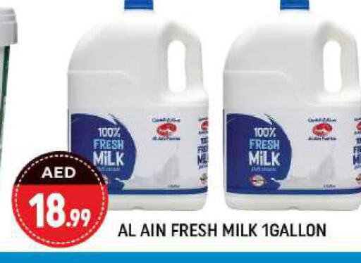 AL AIN Fresh Milk  in Shaklan  in UAE - Dubai