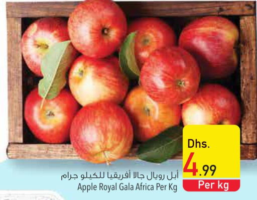  Apples  in السفير هايبر ماركت in الإمارات العربية المتحدة , الامارات - دبي