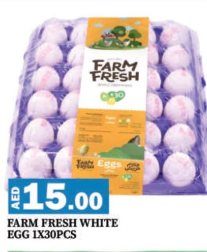 FARM FRESH   in Mango Hypermarket LLC in UAE - Dubai