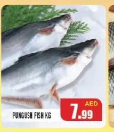  Tuna  in Baniyas Spike  in UAE - Umm al Quwain