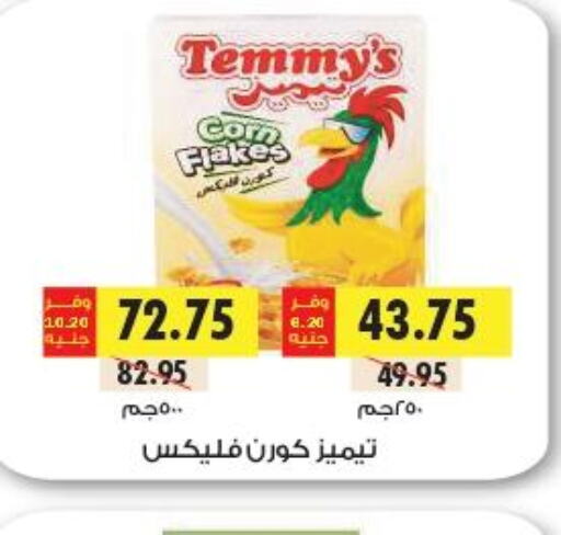 TEMMYS Corn Flakes  in Royal House in Egypt - Cairo