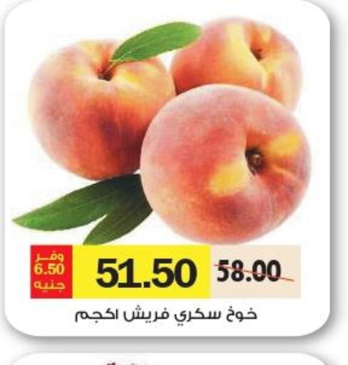  Peach  in Royal House in Egypt - Cairo