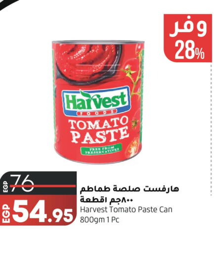  Tomato Paste  in لولو هايبرماركت in Egypt - القاهرة