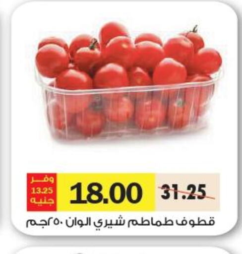  Tomato  in رويال هاوس in Egypt - القاهرة