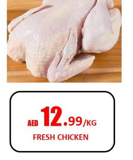  Fresh Chicken  in جفت داي هايبرماركت in الإمارات العربية المتحدة , الامارات - الشارقة / عجمان