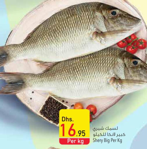  Tuna  in Safeer Hyper Markets in UAE - Ras al Khaimah