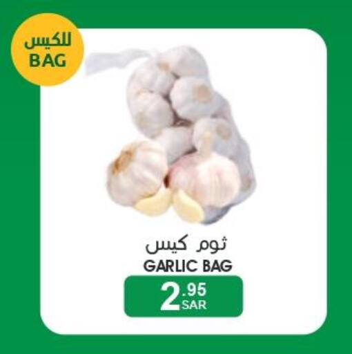  Garlic  in Mazaya in KSA, Saudi Arabia, Saudi - Qatif