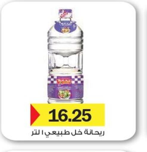  Vinegar  in رويال هاوس in Egypt - القاهرة