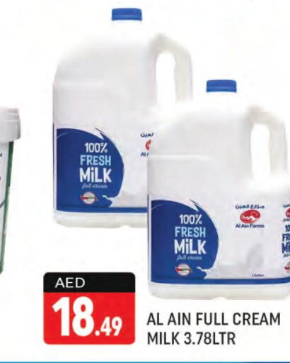 AL AIN Fresh Milk  in Shaklan  in UAE - Dubai