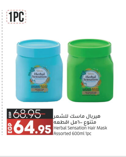 PANTENE Shampoo / Conditioner  in لولو هايبرماركت in Egypt