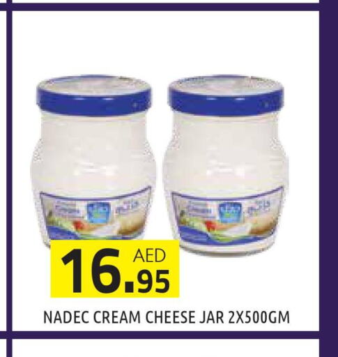 NADEC Cream Cheese  in سنابل بني ياس in الإمارات العربية المتحدة , الامارات - أبو ظبي