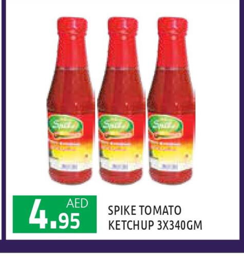  Tomato Ketchup  in سنابل بني ياس in الإمارات العربية المتحدة , الامارات - أبو ظبي