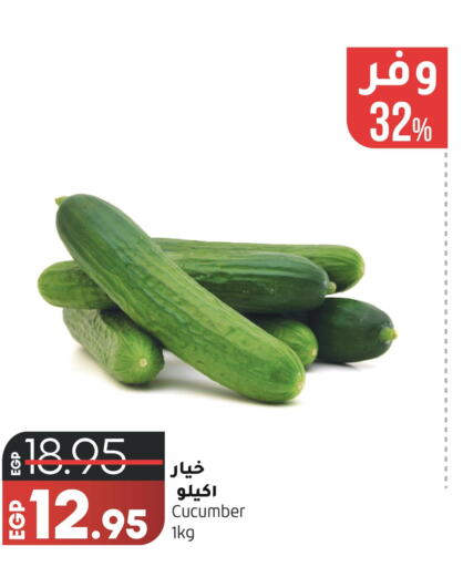 Cucumber  in Lulu Hypermarket  in Egypt