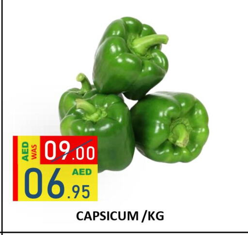  Chilli / Capsicum  in ROYAL GULF HYPERMARKET LLC in UAE - Abu Dhabi