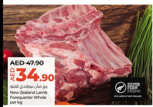  Mutton / Lamb  in لولو هايبرماركت in الإمارات العربية المتحدة , الامارات - أبو ظبي