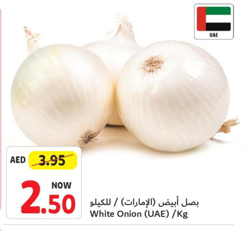  White Onion  in تعاونية أم القيوين in الإمارات العربية المتحدة , الامارات - أم القيوين‎