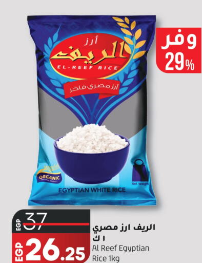  Egyptian / Calrose Rice  in لولو هايبرماركت in Egypt - القاهرة