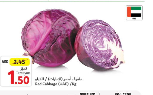  Cabbage  in Union Coop in UAE - Abu Dhabi
