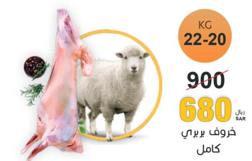  Mutton / Lamb  in  مـزايــا in مملكة العربية السعودية, السعودية, سعودية - المنطقة الشرقية