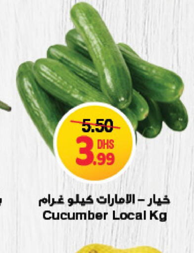  Cucumber  in جمعية الامارات التعاونية in الإمارات العربية المتحدة , الامارات - دبي