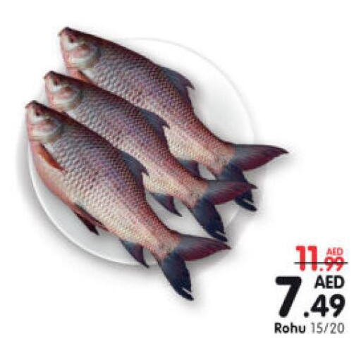  King Fish  in Al Madina Hypermarket in UAE - Abu Dhabi