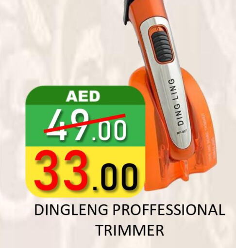  Remover / Trimmer / Shaver  in رويال جلف هايبرماركت in الإمارات العربية المتحدة , الامارات - أبو ظبي