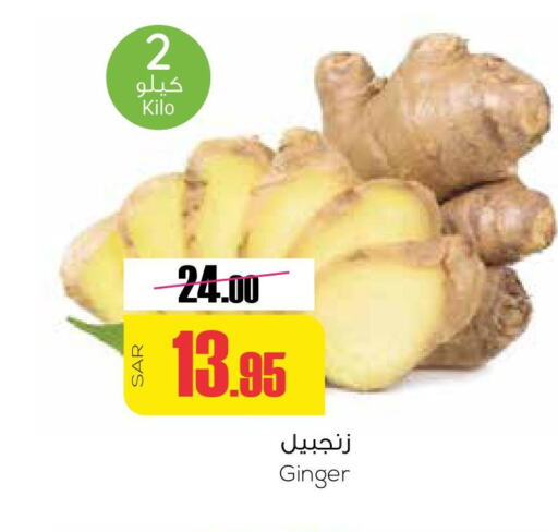  Ginger  in Sapt in KSA, Saudi Arabia, Saudi - Buraidah