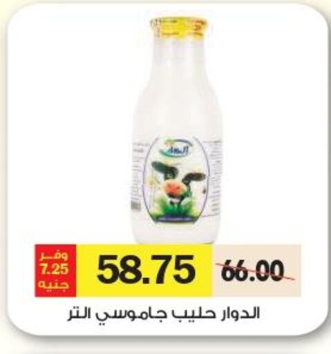  Evaporated Milk  in رويال هاوس in Egypt - القاهرة