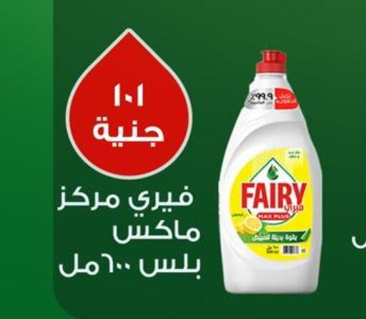 FAIRY   in هايبر وان in Egypt - القاهرة