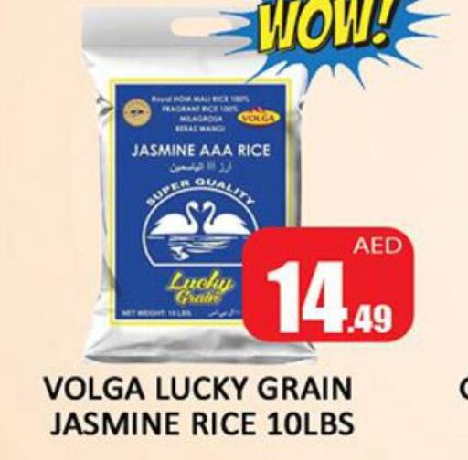  Jasmine Rice  in Al Madina  in UAE - Dubai