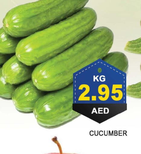  Cucumber  in بسمي بالجملة in الإمارات العربية المتحدة , الامارات - دبي